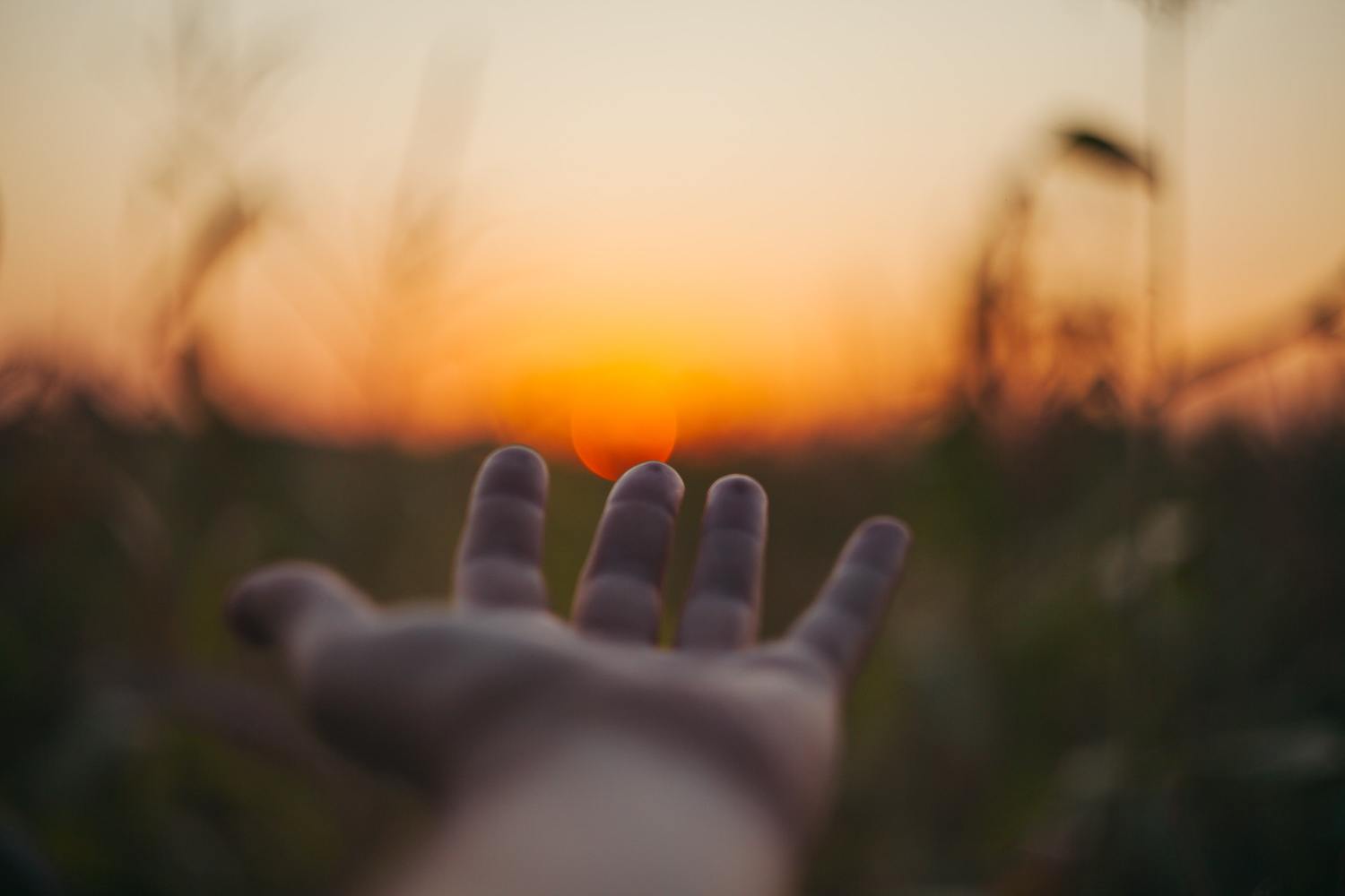 reaching out to sunset