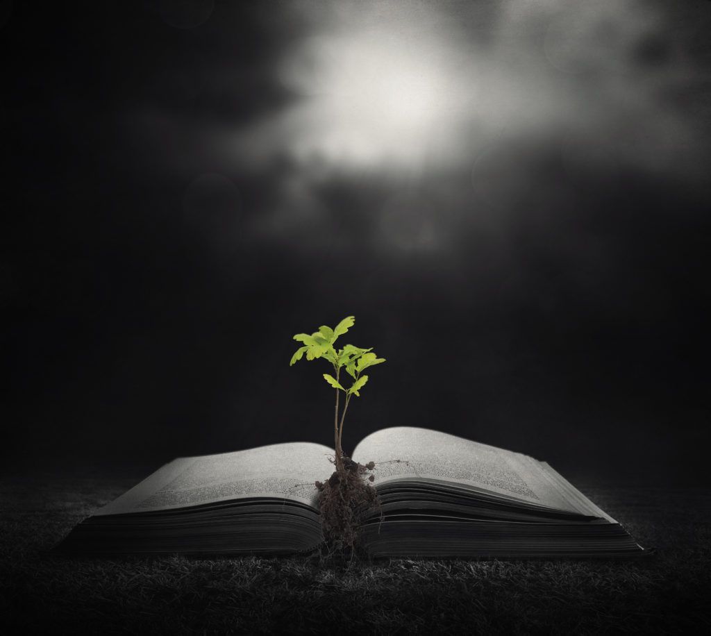 plant growing out of bible