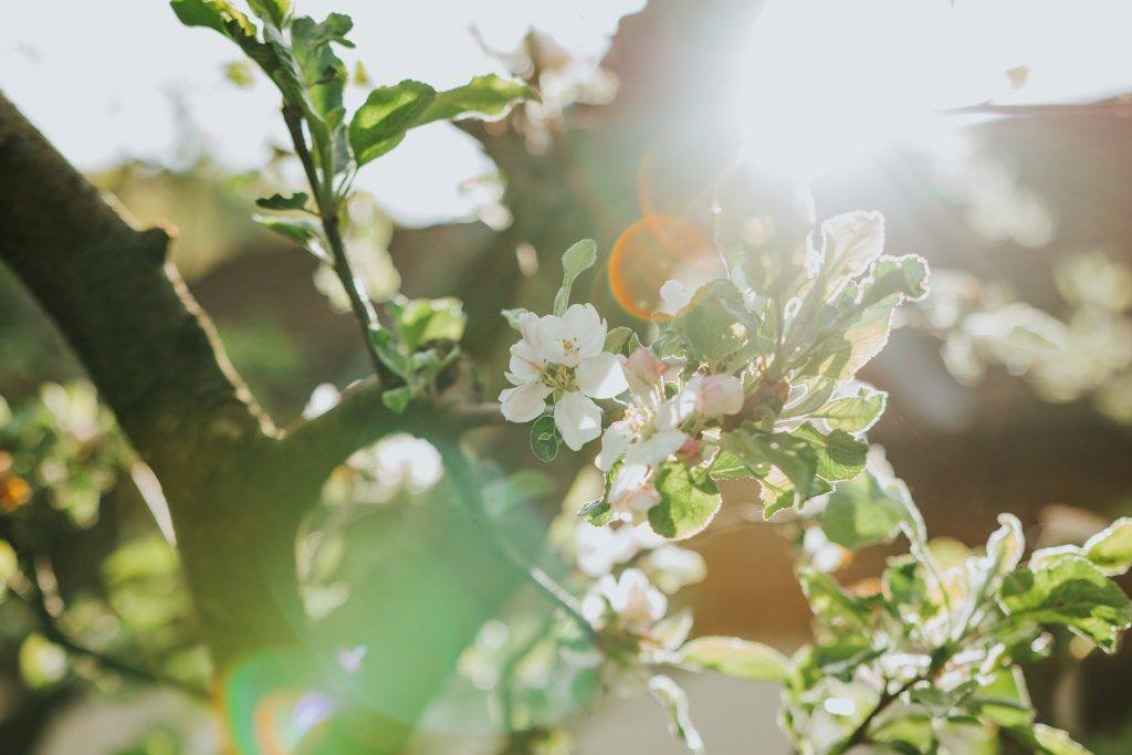 fruit of the spirit- patience