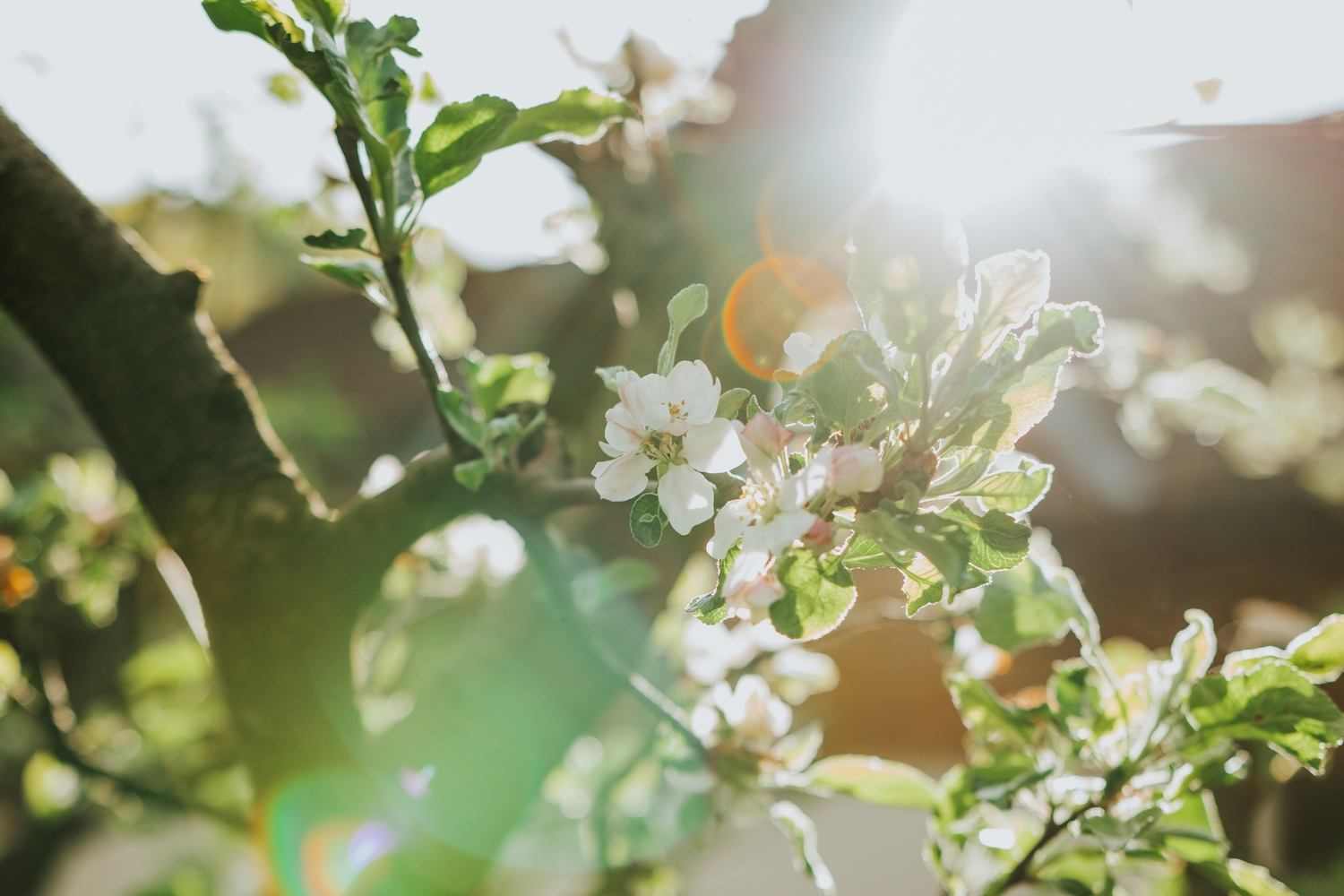 fruit of the spirit- patience