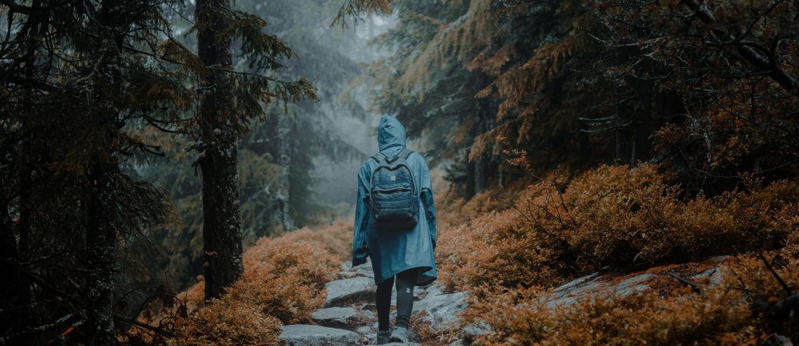 a person in blue coat hiking a trail - loneliness