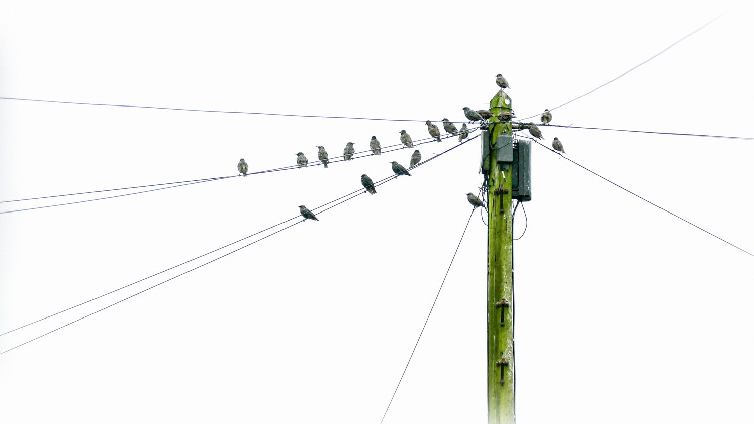 communication