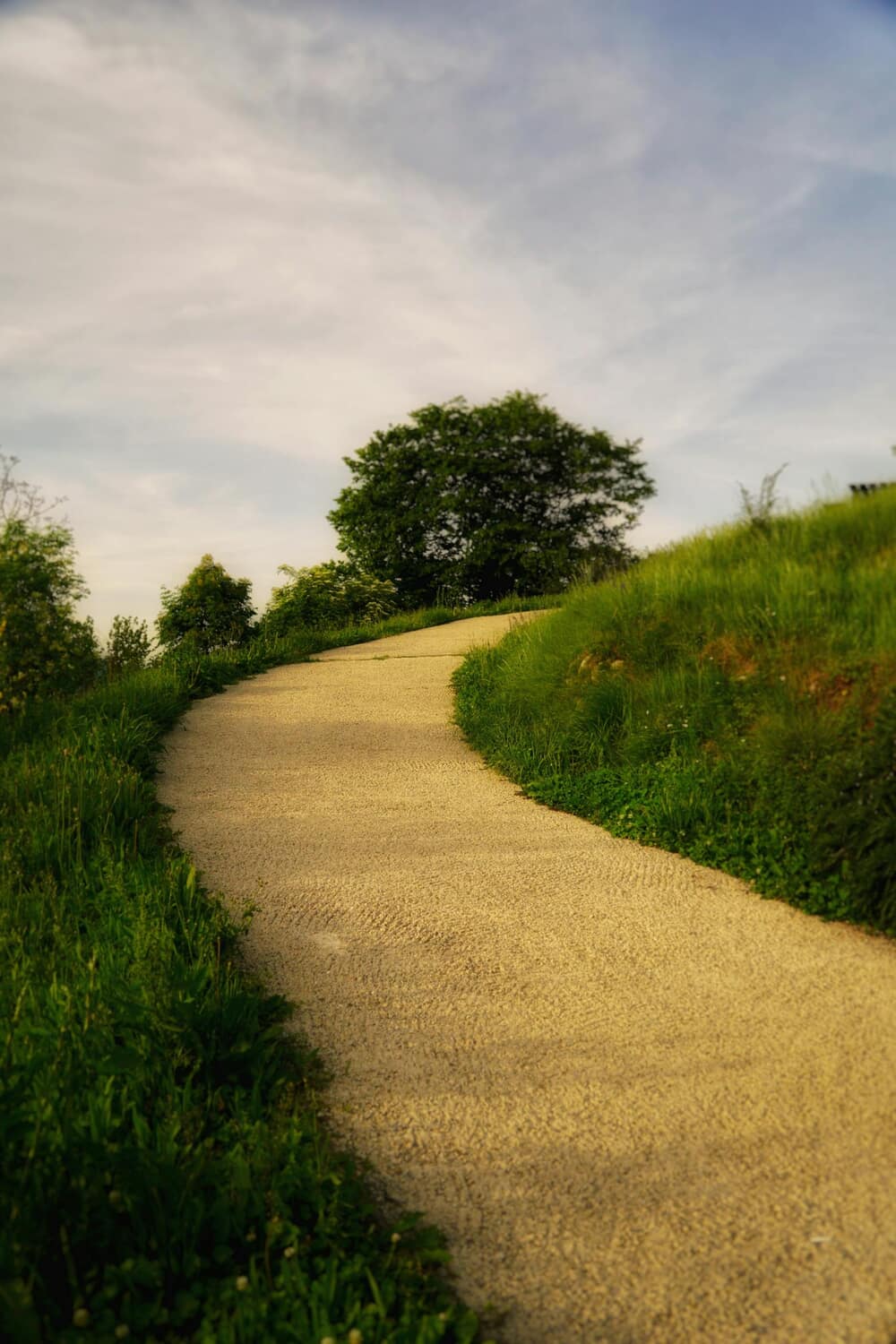 Explore a tranquil winding pathway through lush green hills during a sunny summer day.